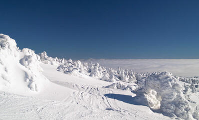 Inversion in the Sudetes Mountains Śnieżnik,Lower Silesia,Poland.