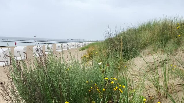 Sand dunes and vegetation, view to the empty beach in Trassenheide, Usedom Island