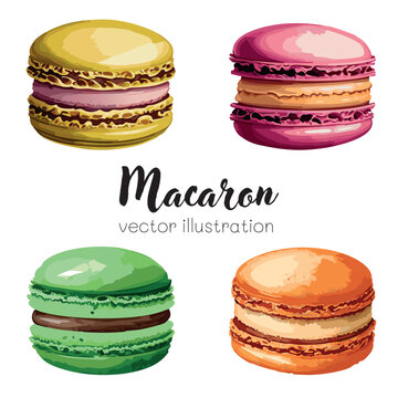 Macarons vector illustration