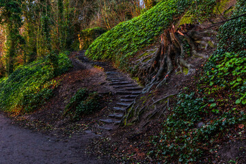 Beautiful stairs in St. Annes Park Dublin Ireland