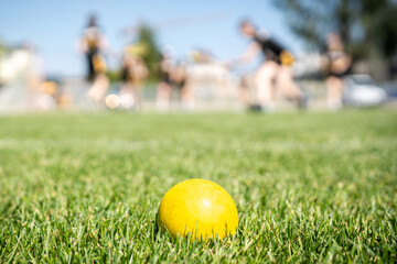 Lacrosse Themed Photo, American Sports. A single yellow lacrosse ball lies on the grass, with lacrosse players in the background.