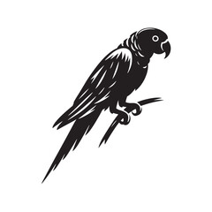 Shadow Parrot: Black Vector Parrot Silhouette - Capturing the Elegance and Charm of Nature's Vivid Avian Companion. Minimalist parrot illustration, Parrot vector.