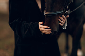 Female hands close up hold head her horse outdoors