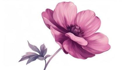 A single flower illustration set against a white background