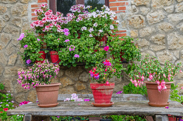 Fototapeta na wymiar Colorful flowers, decorating windows in the village of Santillana del Mar, Spain