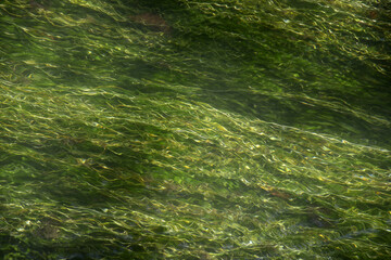 哲学の道　若王子の石碑　京都市左京区