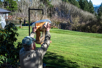 Senior man filling a bird feeder with fresh bird seed, hanging in a sunny back yard
