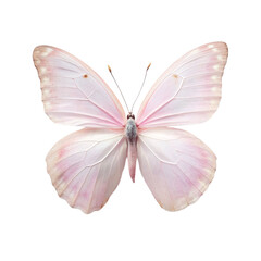 Fototapeta premium Watercolor of a pink butterfly, isolated on Transparent background.