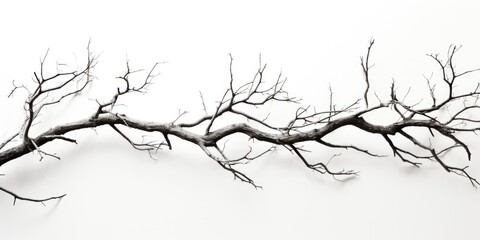 Obraz premium Monochrome image of a tree branch, suitable for various design projects