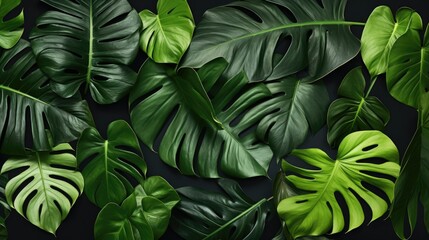 Vibrant green leaves against a dark backdrop, suitable for various design projects