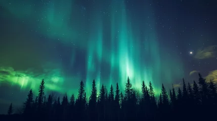 Fototapete Nordlichter Tanzende Polarlichter über Lapplands Winterlandschaft  © Dimitri