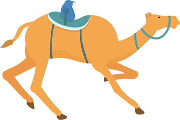 Sport race animal icon cartoon vector. Camel riding festival. African east tradition