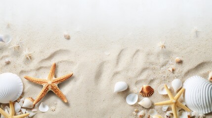 Fototapeta na wymiar Seashells and starfish on a beautiful sandy beach, perfect for summer vacation concept