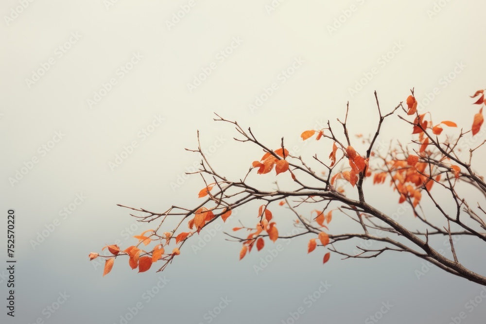 Poster bird sitting on a tree branch, suitable for nature concepts