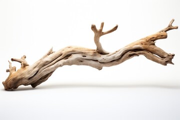A large piece of driftwood on a white surface, suitable for various design projects - obrazy, fototapety, plakaty
