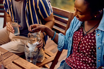 Close up of couple cuddling their cat on terrace.