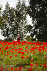 Vibrant field of red poppies with a child in distance under a blue sky, ideal for tranquil nature themes