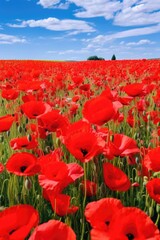 Obraz premium Beautiful field of red poppies under a clear blue sky. Perfect for nature or floral backgrounds