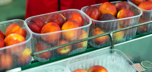 Plastic boxes with ripe peaches on the conveyor of an automatic fruit packaging line