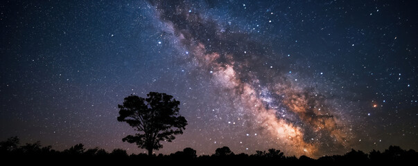 Starry Night Sky With Milky Way Galaxy Over Silhouette of Lone Tree. Banner