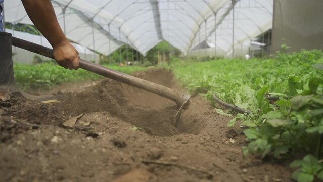 Man preparing the land to plant, an image that represents hard work and dedication in agriculture.
