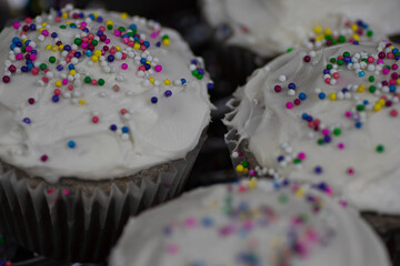 Vanilla Cupcakes With Vanilla Icing and Colorful Sprinkles