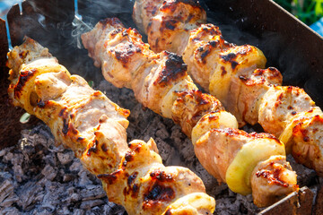 Grilled kebab cooking on metal skewer. Roasted meat cooked at barbecue.Traditional eastern dish, shish kebab. Grill on charcoal and flame, picnic, street food