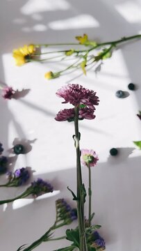 Flowers, White Background, Floral, Blooms, Blossoms, Botanical, Garden, Nature, Spring, Beauty, Delicate, Feminine, Elegance, Serenity, Softness, Tranquility, Minimalist, Clean, Simple, Ethereal, Aest