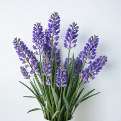 bunch of lavender flower

