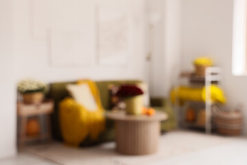 Blurred view of light living room with green sofa, chrysanthemum flowers and pumpkins on coffee table
