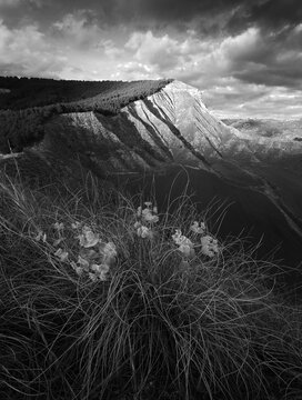 Dramatic monochrome landscape with sunlit hilltop