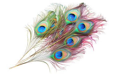 Energetic Peacock Plumage Embraces Holi Vivid Palette Isolated on Transparent Background PNG.