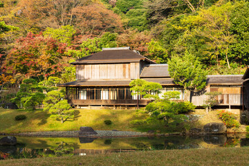 日本の風景・秋　神奈川県横浜市　紅葉の三溪園