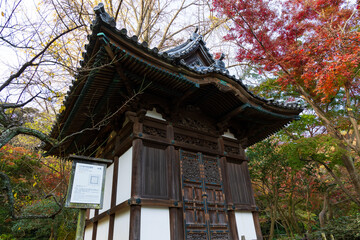 日本の風景・秋　神奈川県横浜市　紅葉の三溪園