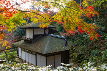 日本の風景・秋　神奈川県横浜市　紅葉の三溪園