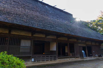 日本の風景・秋　神奈川県横浜市　紅葉の三溪園