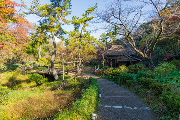 日本の風景・秋　神奈川県横浜市　紅葉の三溪園