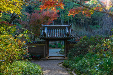 日本の風景・秋　神奈川県横浜市　紅葉の三溪園