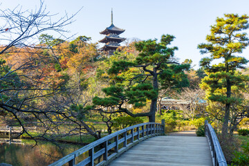 日本の風景・秋　神奈川県横浜市　紅葉の三溪園