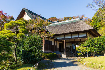 日本の風景・秋　神奈川県横浜市　紅葉の三溪園