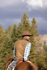Colorado Cowboy in The Mountains