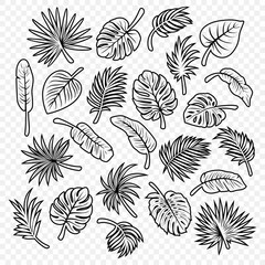 Vector Tropical Leaf Silhouette Icon Set. Flat Vector Monstera, Ficus, Banana Leaf, Dracaena, Sabal Palm Leaves with Outline, Isolated. Design Templates for Home Decor, Invitations, Print
