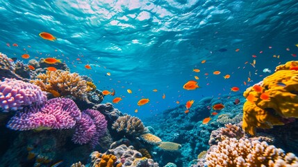 Underwater landscape with tropical fish and coral reef. Concept of marine life, natural aquariums, biodiversity conservation.