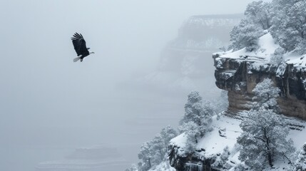 A bald eagle flying over foggy forest mountain in sky in wild in winter with snow.