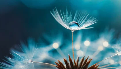 Fotobehang Close-up of dandelion seeds © Ümit