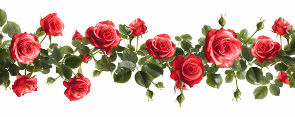 Fototapeta premium Watercolor border made of red roses and green leaves on white background. Decoration for wedding invitation or greeting card for Women's and Valentine's day. Template with copy space