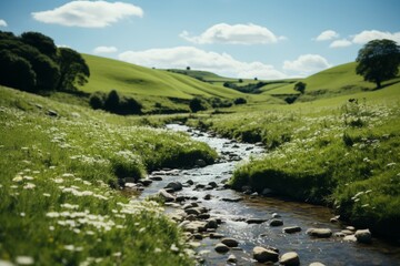 Fototapeta na wymiar Small river flowing through a lush green valley on a sunny day with blue sky and white clouds