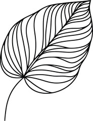 Obraz premium leaf in continuous line drawing minimalist style. 