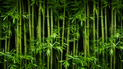 Dense Bamboo Forest With Lush Green Leaves. Tropical Serenity Background Concept
