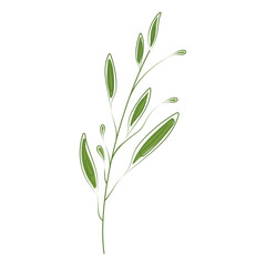 Sketch of a tree leaf icon Vector illustration